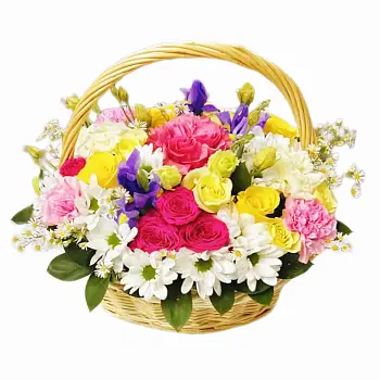 Солнечная мечта